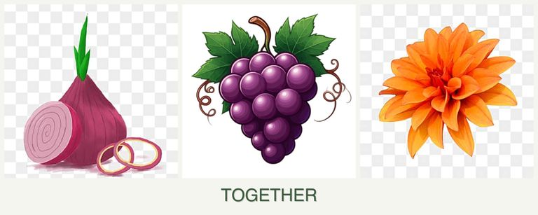 Can you plant onions, grapes and dahlias together?