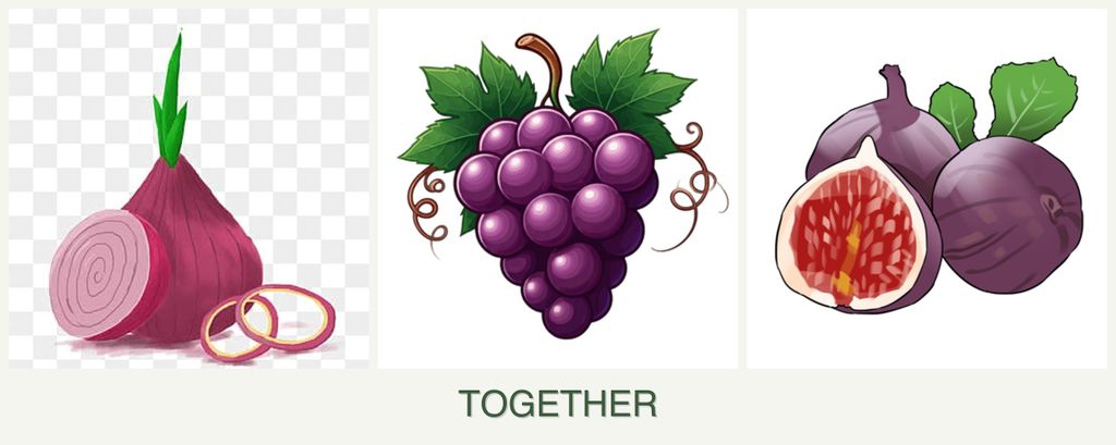 Can you plant onions, grapes and figs together?