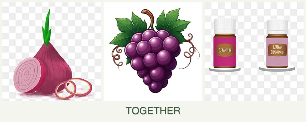 Can you plant onions, grapes and geraniums together?
