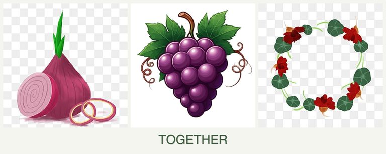 Can you plant onions, grapes and nasturtiums together?