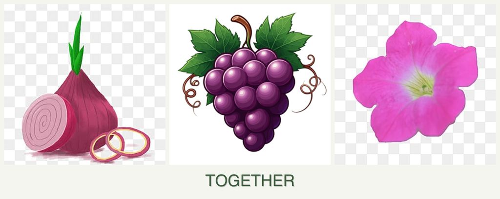 Can you plant onions, grapes and petunias together?