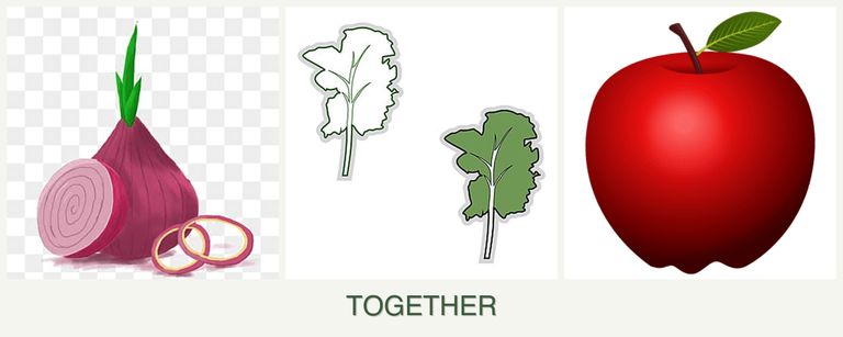 Can you plant onions, kale and apples together?