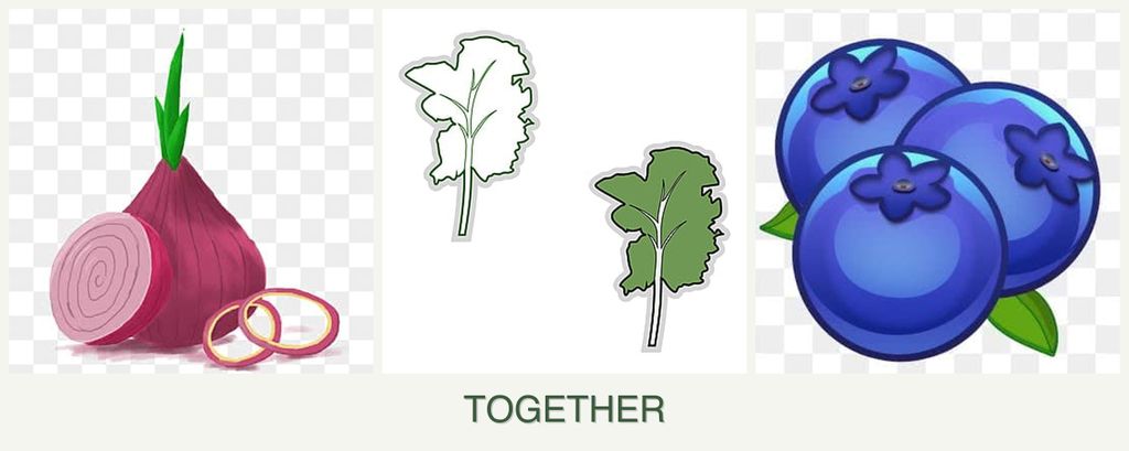 Can you plant onions, kale and blueberries together?