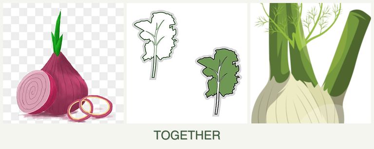 Can you plant onions, kale and fennel together?
