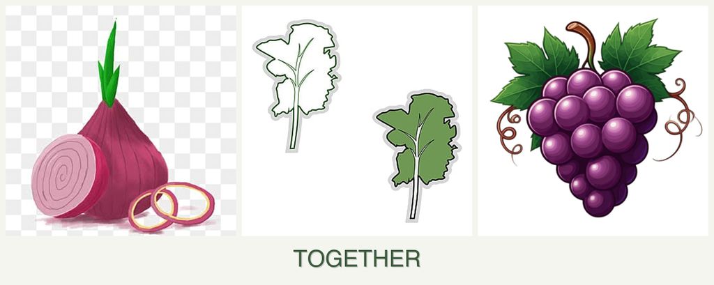 Can you plant onions, kale and grapes together?