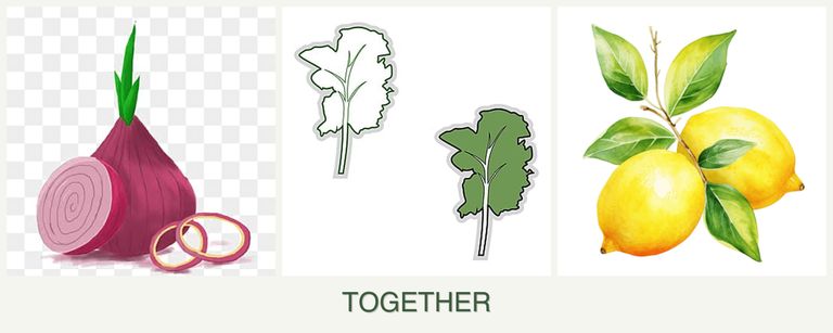 Can you plant onions, kale and lemons together?