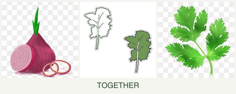 Can you plant onions, kale and parsley together?