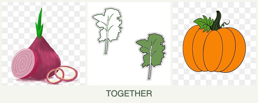 Can you plant onions, kale and pumpkin together?