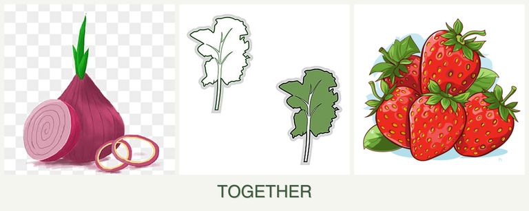 Can you plant onions, kale and strawberries together?