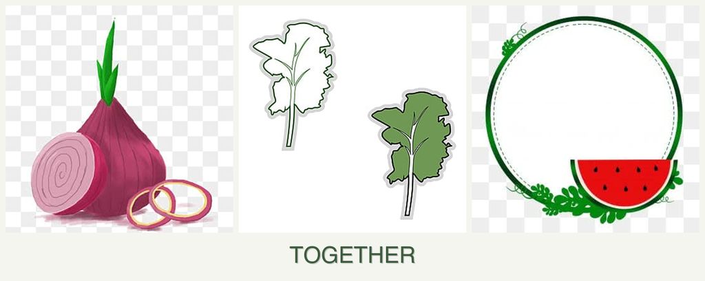 Can you plant onions, kale and watermelons together?
