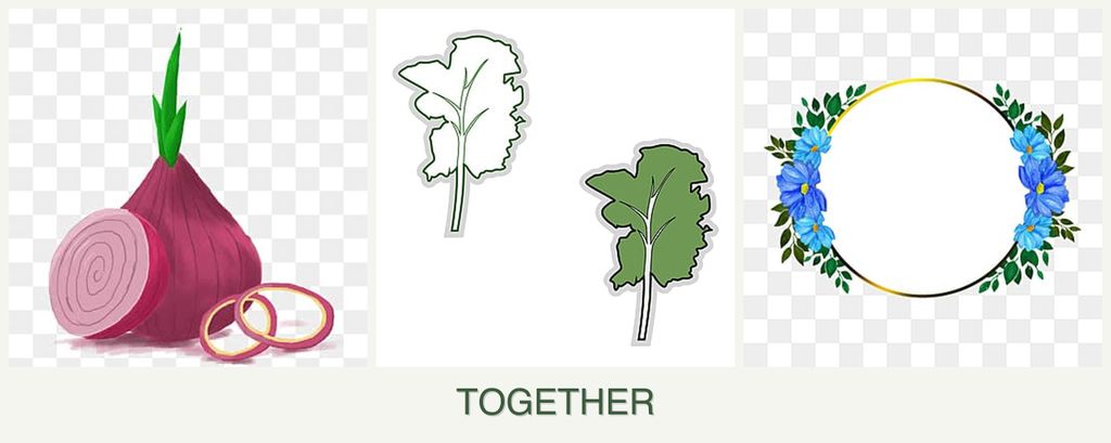 Can you plant onions, kale and zinnias together?