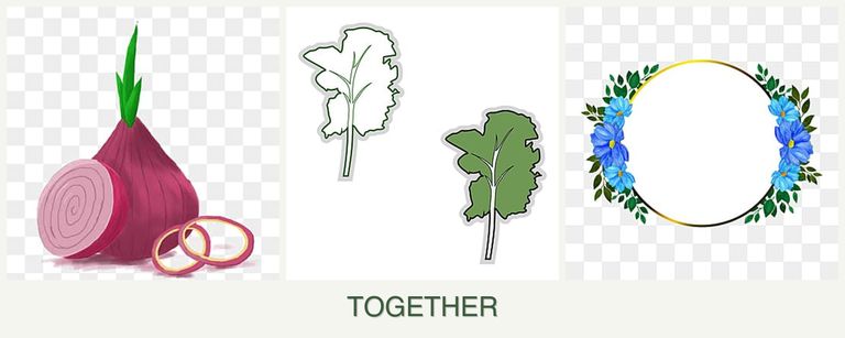 Can you plant onions, kale and zinnias together?