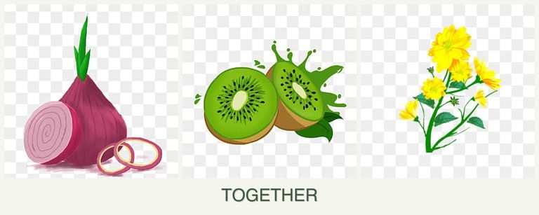 Can you plant onions, kiwi and calendula together?