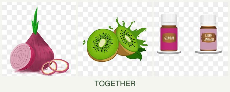 Can you plant onions, kiwi and geraniums together?