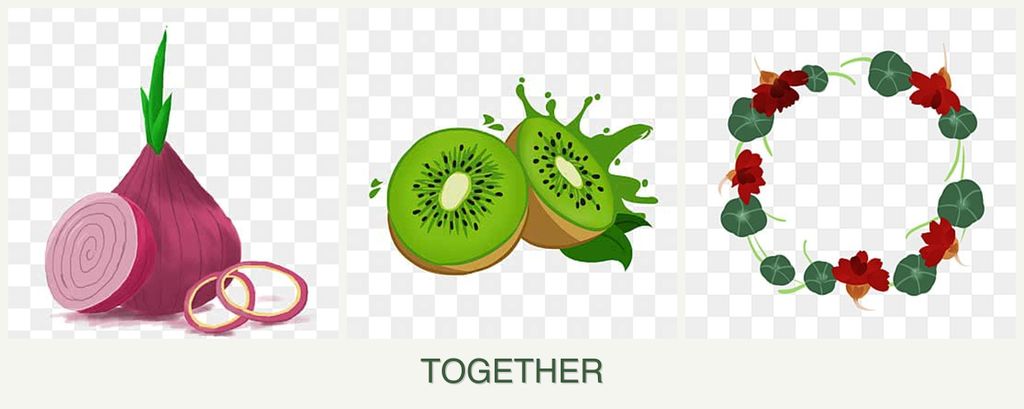 Can you plant onions, kiwi and nasturtiums together?