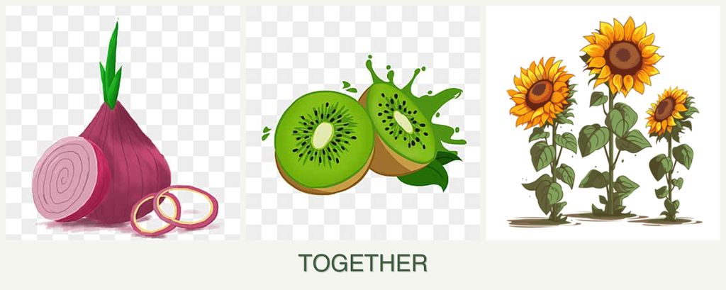 Can you plant onions, kiwi and sunflowers together?