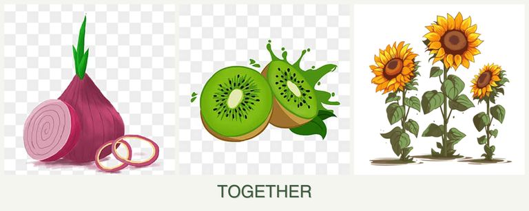 Can you plant onions, kiwi and sunflowers together?