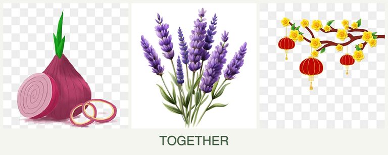 Can you plant onions, lavender and apricots together?