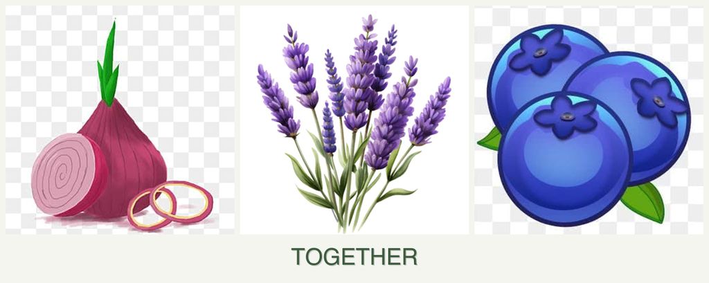 Can you plant onions, lavender and blueberries together?