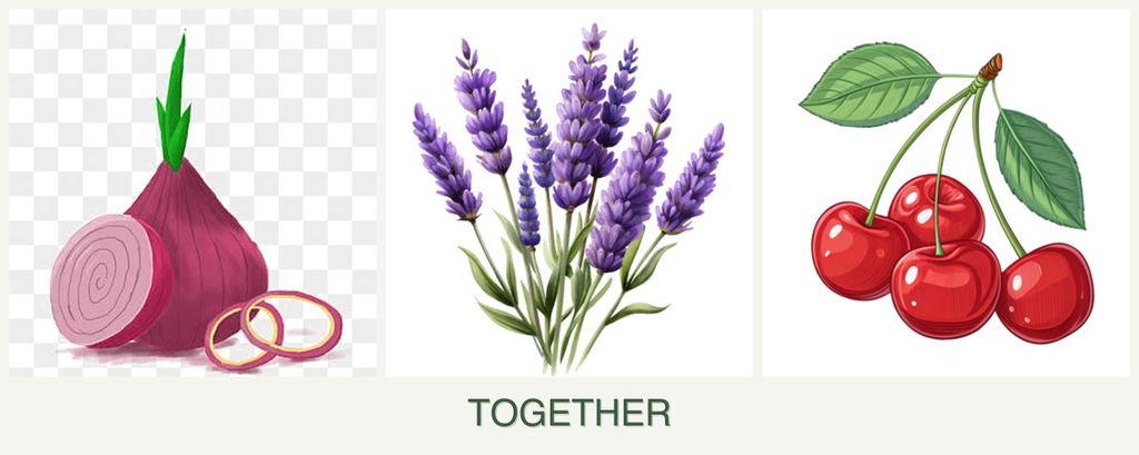Can you plant onions, lavender and cherries together?