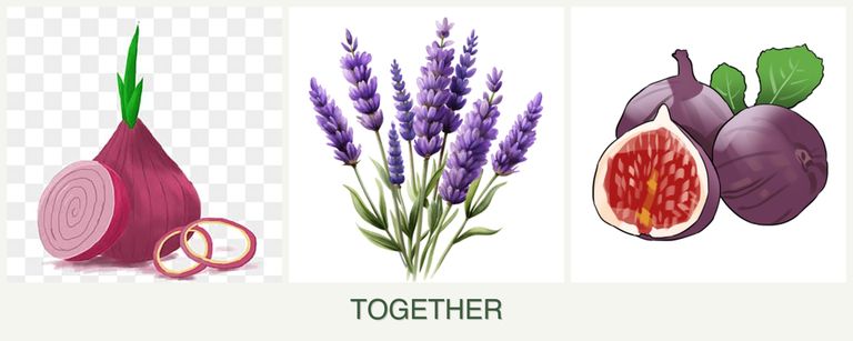 Can you plant onions, lavender and figs together?