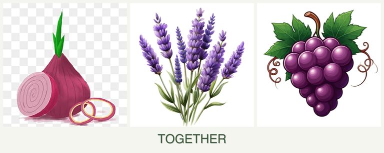 Can you plant onions, lavender and grapes together?