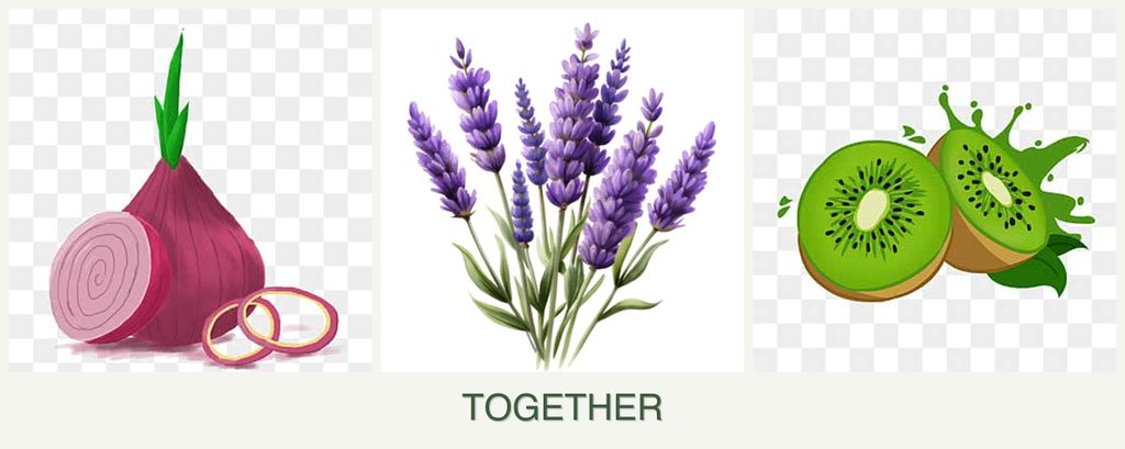 Can you plant onions, lavender and kiwi together?