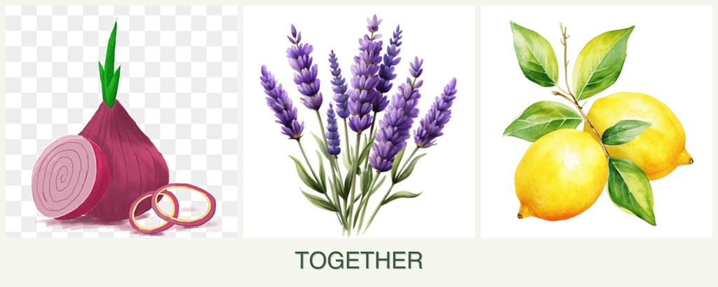 Can you plant onions, lavender and lemons together?