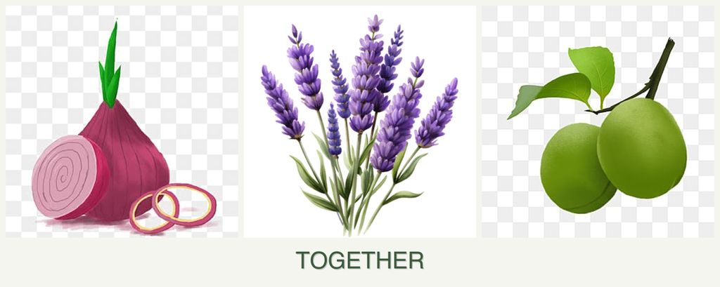 Can you plant onions, lavender and plums together?