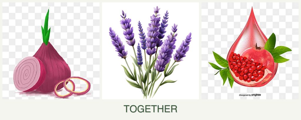 Can you plant onions, lavender and pomegranates together?