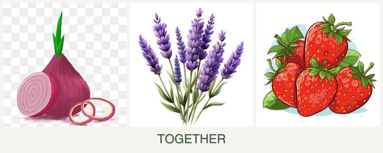 Can you plant onions, lavender and strawberries together?