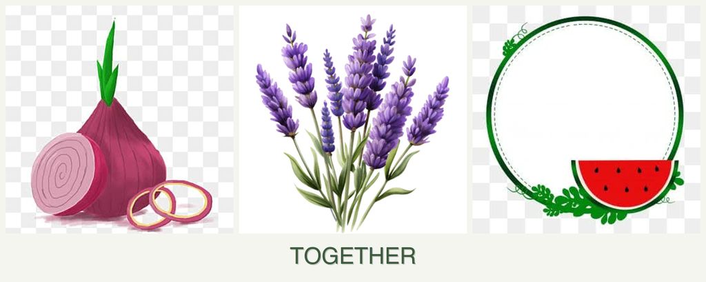 Can you plant onions, lavender and watermelons together?