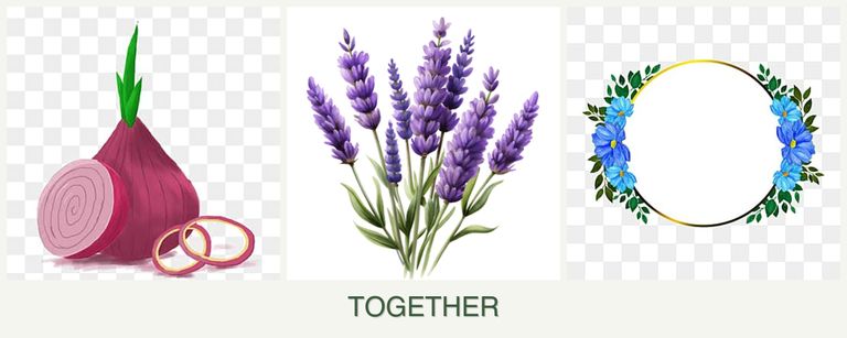 Can you plant onions, lavender and zinnias together?