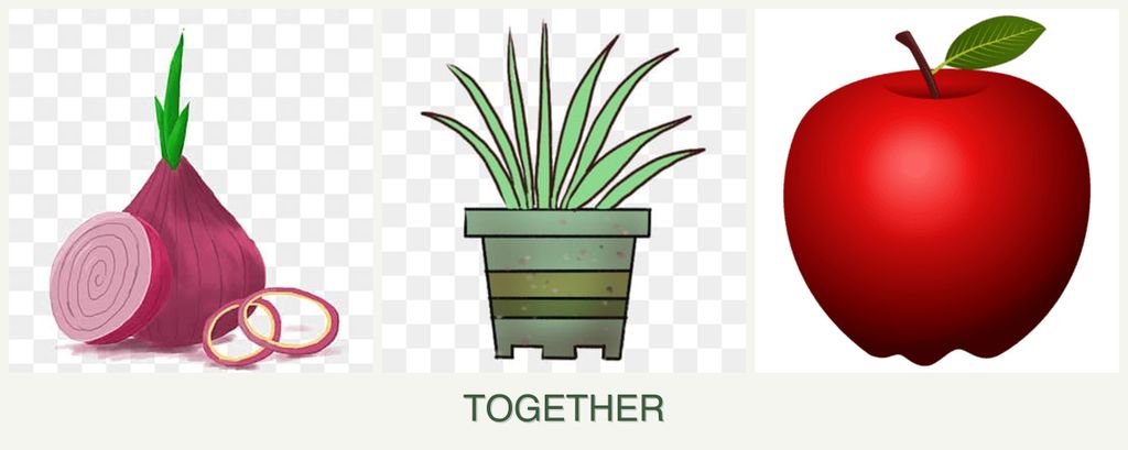 Can you plant onions, lemongrass and apples together?