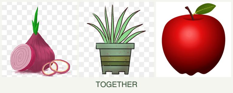 Can you plant onions, lemongrass and apples together?