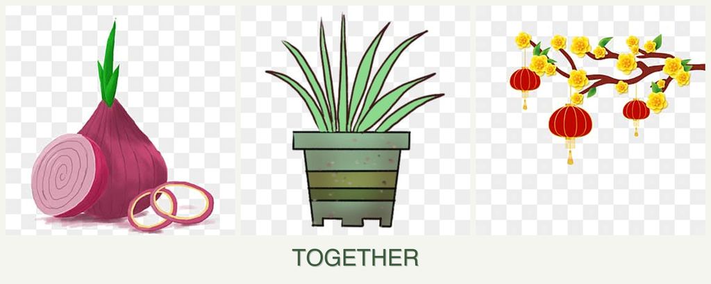 Can you plant onions, lemongrass and apricots together?