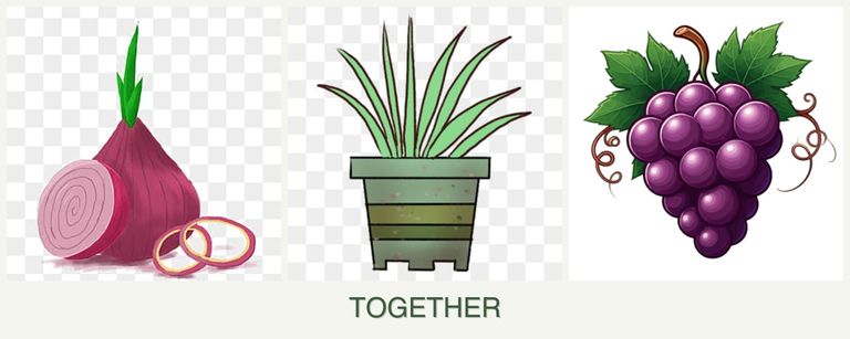Can you plant onions, lemongrass and grapes together?