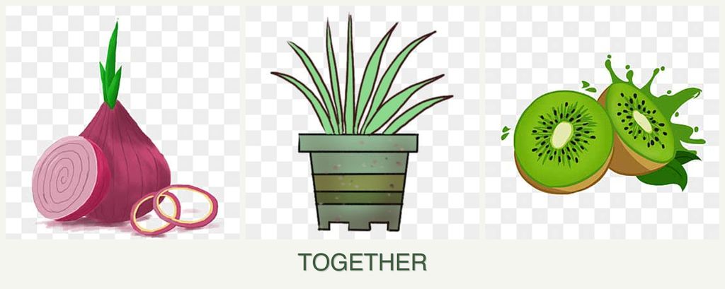 Can you plant onions, lemongrass and kiwi together?