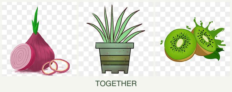 Can you plant onions, lemongrass and kiwi together?