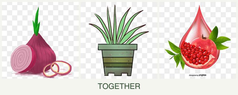 Can you plant onions, lemongrass and pomegranates together?