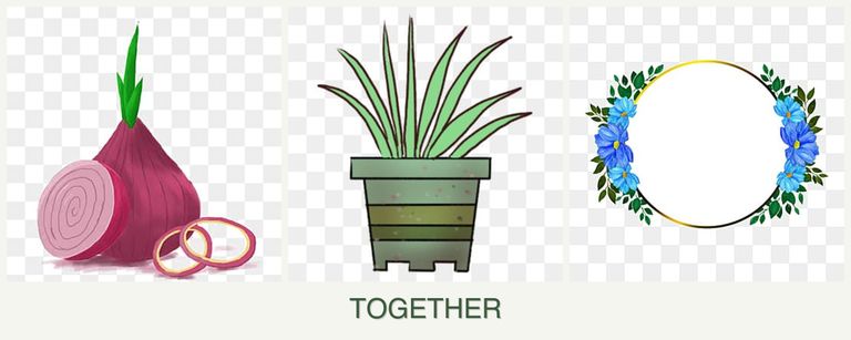 Can you plant onions, lemongrass and zinnias together?