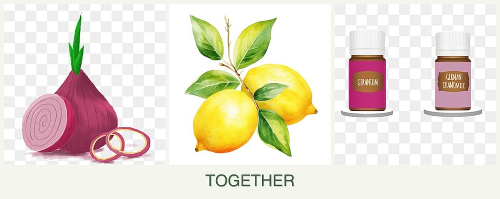 Can you plant onions, lemons and geraniums together?