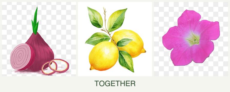 Can you plant onions, lemons and petunias together?