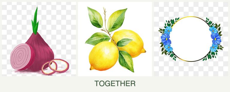 Can you plant onions, lemons and zinnias together?