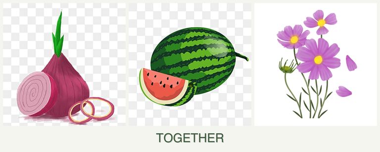 Can you plant onions, melons and cosmos together?
