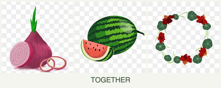 Can you plant onions, melons and nasturtiums together?
