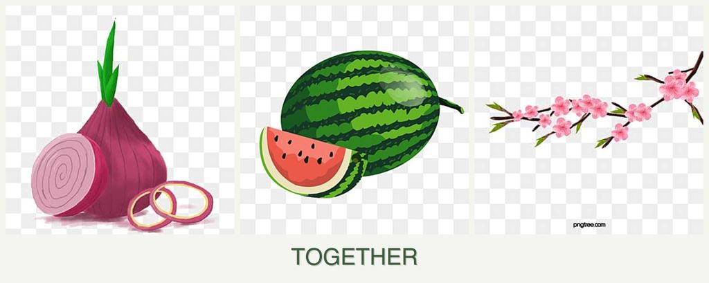 Can you plant onions, melons and peaches together?