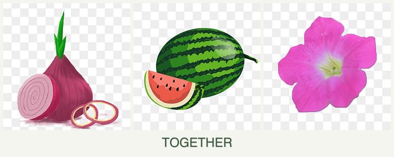 Can you plant onions, melons and petunias together?