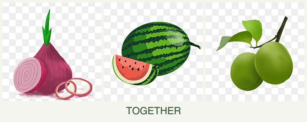 Can you plant onions, melons and plums together?