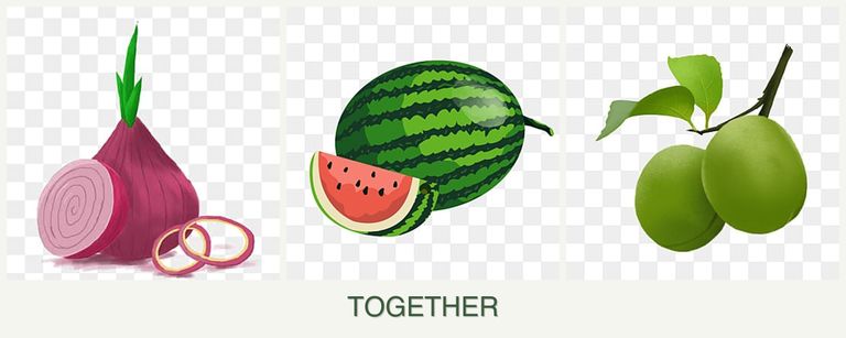 Can you plant onions, melons and plums together?
